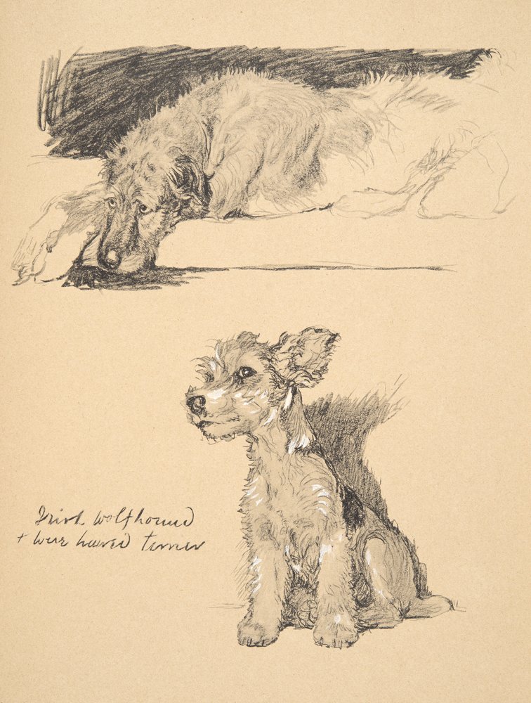 Cecil Charles Windsor Aldin -